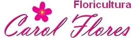 Carol Flores